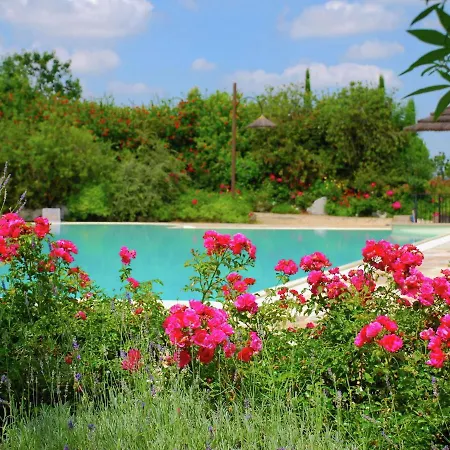 Дом отдыха Luxurious In With Private Swimming Pool